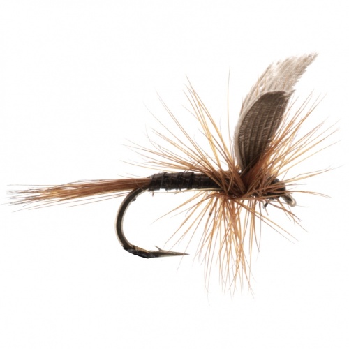 The Essential Fly Red Quill Fishing Fly
